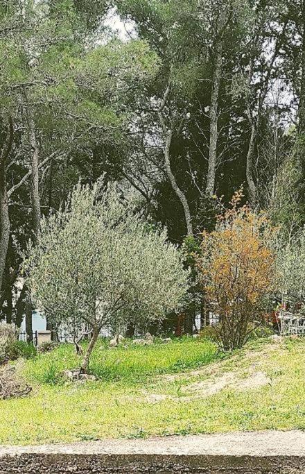 Apartment Maya Stari Grad  Buitenkant foto
